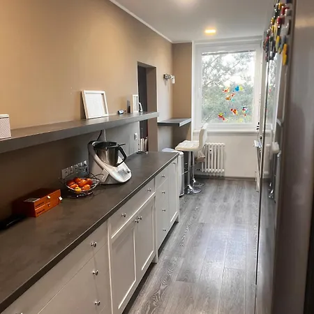 Big In Quiet Location Close To The Center -ideal For Families With Kids 公寓 布拉格